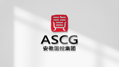 2025年合肥品牌設計公司排名前十推薦 權威榜單與深度解析策劃創(chuàng)意服務